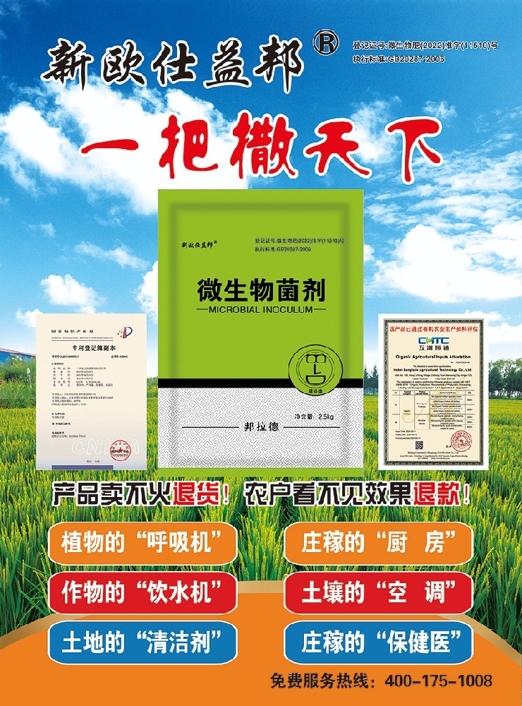 “欧仕益邦十万个为什么”（玉米篇）之三： 《为什么使用欧仕益邦的玉米茎杆节间短、抗倒伏能力强》