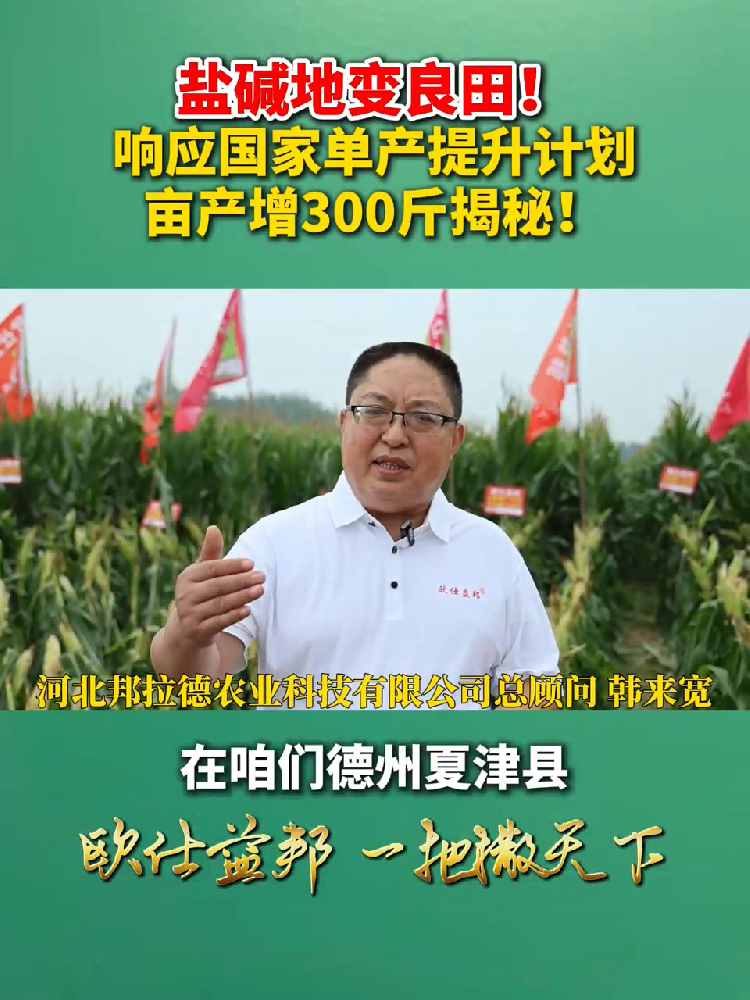 盐碱地变良田!响应国家单产提升计划亩产增300斤揭秘!