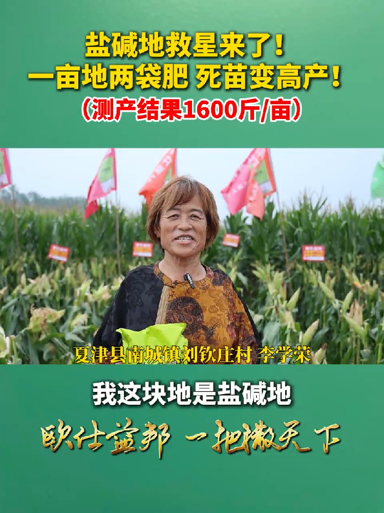 盐碱地救星来了!一亩地两袋肥 死苗变高产!(测产结果1600斤/亩)